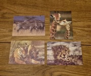 Karteczki kolekcjonerskie notesowe A7