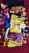 Zestaw typu Barbie. Księżniczki i książ, akcesoria