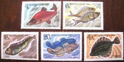 Fauna ryby 5294 - 8 **