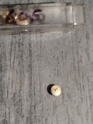 Zenith koronka 4,10mm x 1,35mm