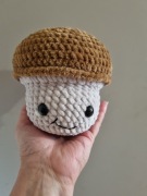 Grzybek na szydełku