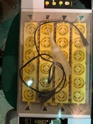 Inkubator na 24 jajka