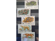 Fauna zwierzęta węże ssaki Rosja