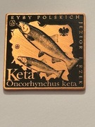 Ryba keta. Klipa 35 X 35 mm. 2013 Gyges