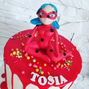 Figurka Biedronka i Czarny Kot Miraculum 