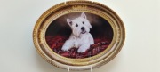 Kolekcjonerski talerz Master of the Tartan– The Franklin Mint