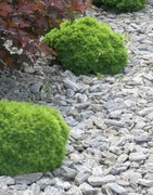 Kara kamienna Gnejs 11-32 mm 32-63 mm 25 kg