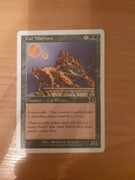 Karta Cat Warriors. Magic The Gathering 