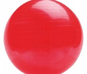 DUŻA PIŁKA DO ĆWICZEŃ GIMNASTYCZNA 55 cm FIT