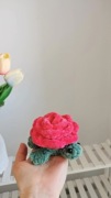 Żółwik w kształcie kwiatuszka na szydełku handmade, dekoracja