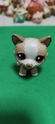 Littlest pet shop piesek Husky #1817