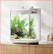 Inteligentny akwarium biurkowe 10L optiwhite