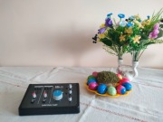 Interfejs audio SSL 2+