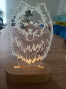 Lampka pomeranian nowa szpic 