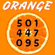 Starter Orange kultowy prefiks 501 447 095 złoty prosty łatwy ciekawy numer