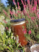 Miód WRZOSOWY 1kg ZBIÓR 2025r Pasieka U Antosia