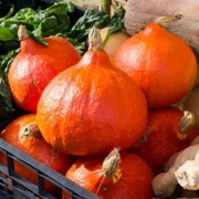 Japońska Dynia Uchiki Kiri typu Hokkaido 3 g - nasiona