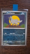 Karta Pokemon Poochyena reverse 105/162 orginalna