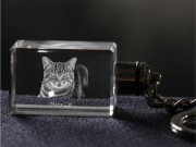 Turkish Van Cat brelok sześcienny Świecący