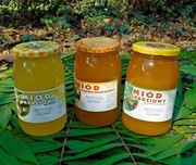 Zestaw miodów 3x akacja spadziowy nektarowo-spadziowy infekcje trawienie