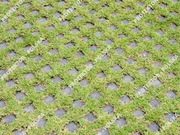 kostka EKO BRUK betonowa płyta deptak taras podwórko ogród ganek podjazd