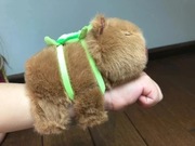 Śliczna Kapibara, pluszak na rękę + plecak Gratis. Super Cena! Nowy.