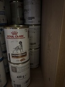 Royal Canin DOG Gastro Intestinal Low Fat 420g