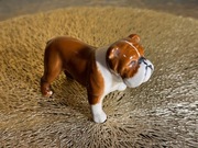 porcelanowa figurka buldog angielski Beswick England