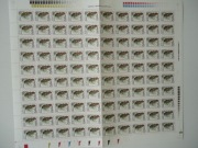 Fi. 3165. Owoce drzew iglastych I. (1500zł.)