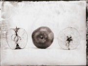 Ambrotypia - Hell's Kitchen 023