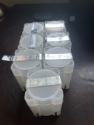 Tuby po monetach Bull & Bear lub Goodness Europa