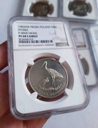 Max jedyna PF68 Bociany Nikiel Próba 100 złotych 1982 NGC 