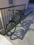 Rower  Curtis Niemiecki 