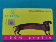 BELGIA     - Karta telefoniczna  /  PSY  