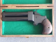 Derringer Great Gun .54