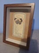 Motyl w ramce callicore peristera 