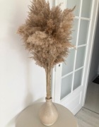 Trawa pampas suszona Naturalna Bukiet Zestaw