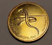 Zwierzęta świata. Węgorz europejski.