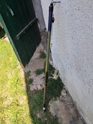 Bolonka z kolowrotkiem