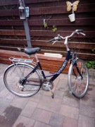 Rower damski Holenderski Trek