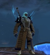 Konto w Guild Wars 2 Janthir Wild + POF + HOT + Living Worlds 1264 GEMY 