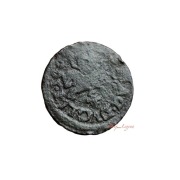 Boratynka Patynka NAJTANIEJ 88