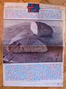 Przekrój Nr 1985 26 czerwca 1983 1 / 1983 Prasa-Książka-Ruch tygodnik