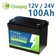 Akumulator LiFePo4 100ah BMS 100A