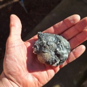 Piryt konkrecja pirytowa z Gór Kaczawskich