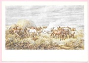 J. Kossak - Stadnina na Podolu - konie, źrebaki ... 