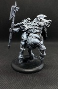 Man-O-War Shocktrooper - Warmachine 
