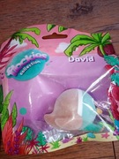 Nowa figurka flockies David 