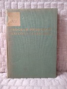 Program produkcji walcowni i ciągarni 