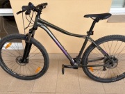 Rower Cannondale Trail 6 L '29